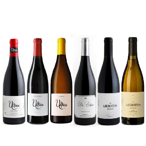 Estuche 6 botellas de vino Selección D.O. Bierzo y V.T. Castilla y León de Raúl Pérez
