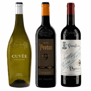 Lote surtido vinos Protos